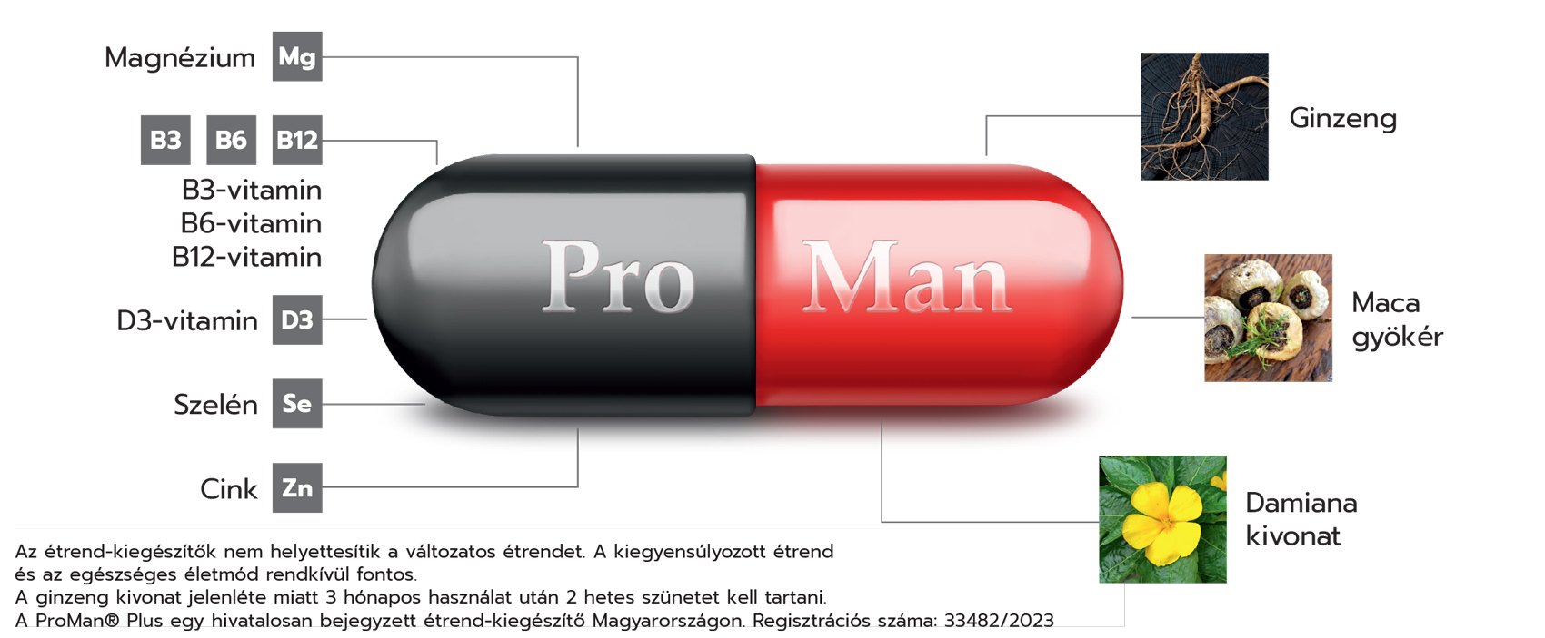 ProMan® Plus